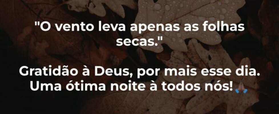 ⁠"O vento leva apenas as folhas secas." ... Suelly Xavier Lucas