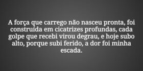 A força que carrego não nasceu pronta, foi constru... Tiago Scheimann