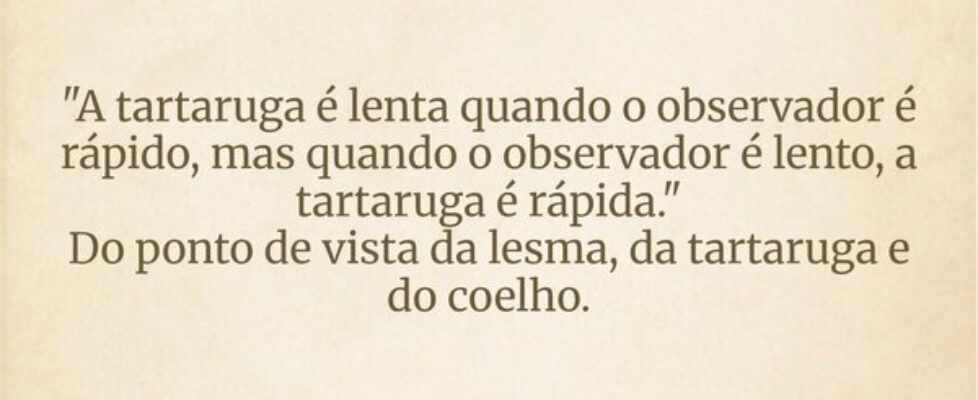 "A tartaruga é lenta quando o observador é rá... Wesley D Amico