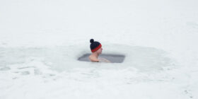 Being Adaptable Isn’t Enough. You Have to Demonstrate It.