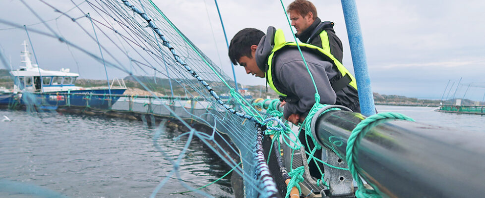 MIT Sea Grant students explore the intersection of technology and offshore aquaculture in Norway