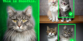 Method teaches generative AI models to locate personalized objects