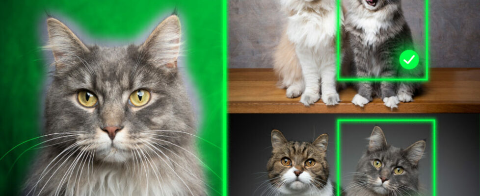 Method teaches generative AI models to locate personalized objects