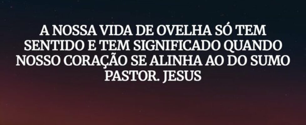 A NOSSA VIDA DE OVELHA SÓ TEM SENTIDO E TEM SIGNIF... A.J.S