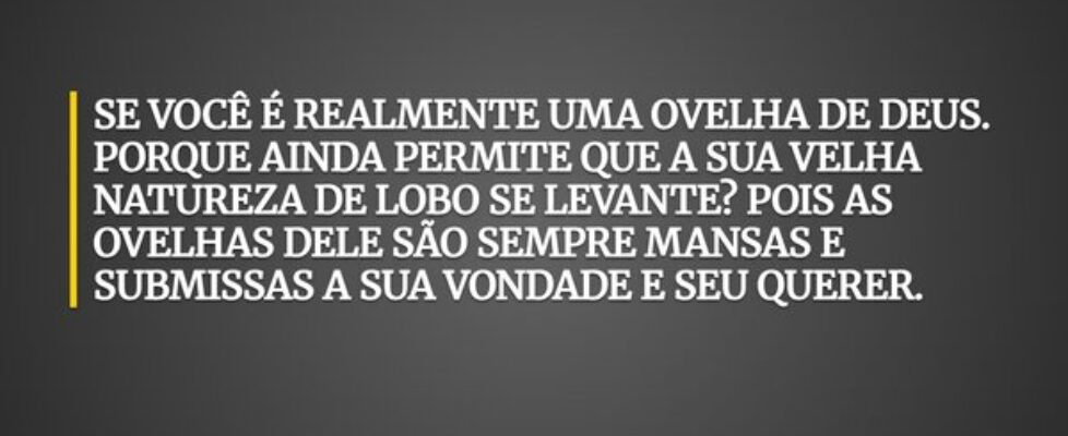 SE VOCÊ É REALMENTE UMA OVELHA DE DEUS. PORQUE AIN... A.J.S