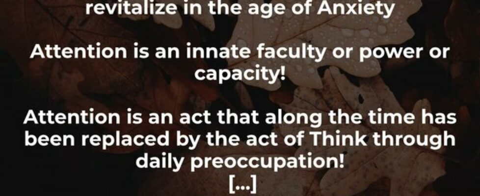 ‎THE ATTENTION: A vital innate faculty to revitali... Amâncio Maurício Xavier Rêgo