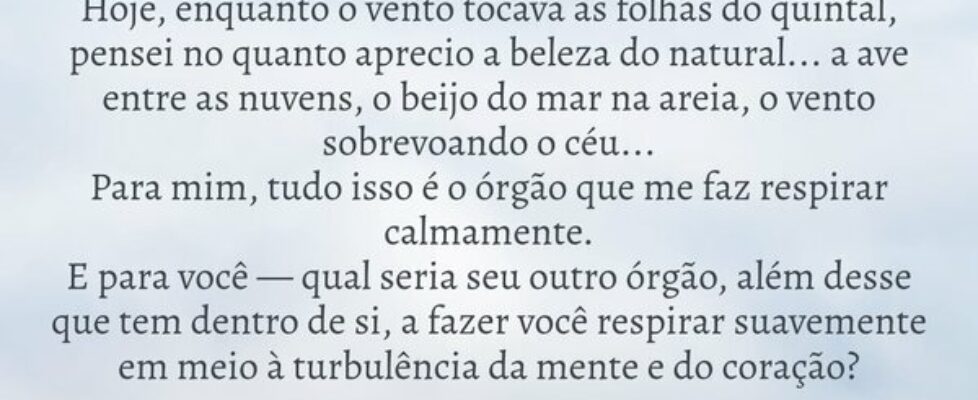 ⁠Hoje, enquanto o vento tocava as folhas do quinta... BMM