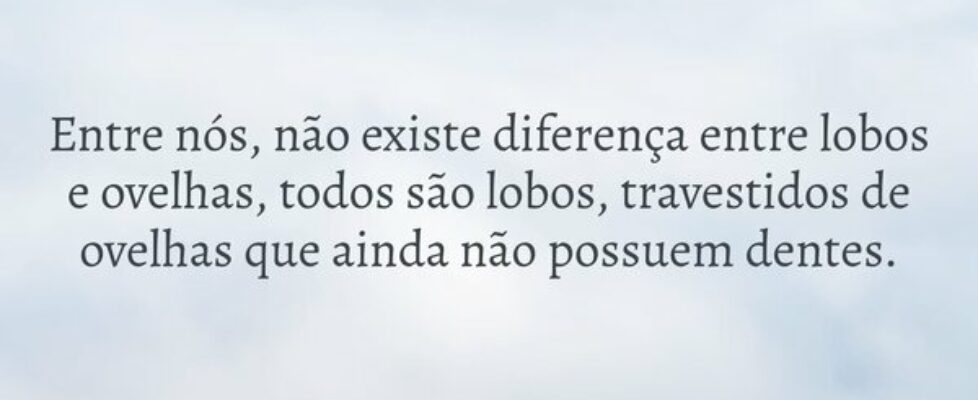 Entre nós, não existe diferença entre lobos e ovel... carlosouzar