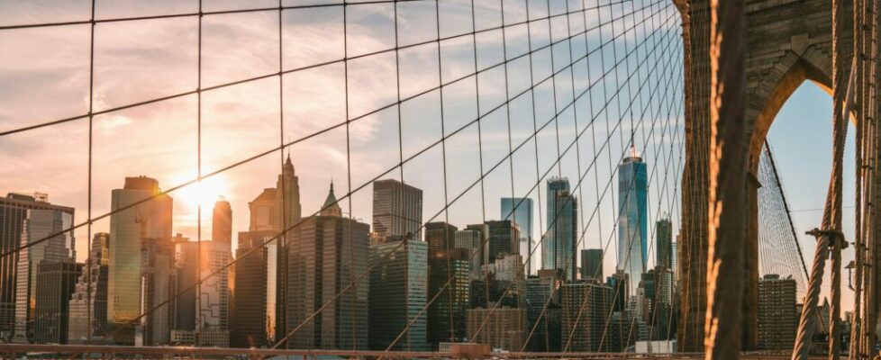 How LLMs Choose Their Words: A Practical Walk-Through of Logits, Softmax and Sampling