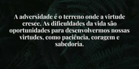 A adversidade é o terreno onde a virtude cresce. A... Damião Leão