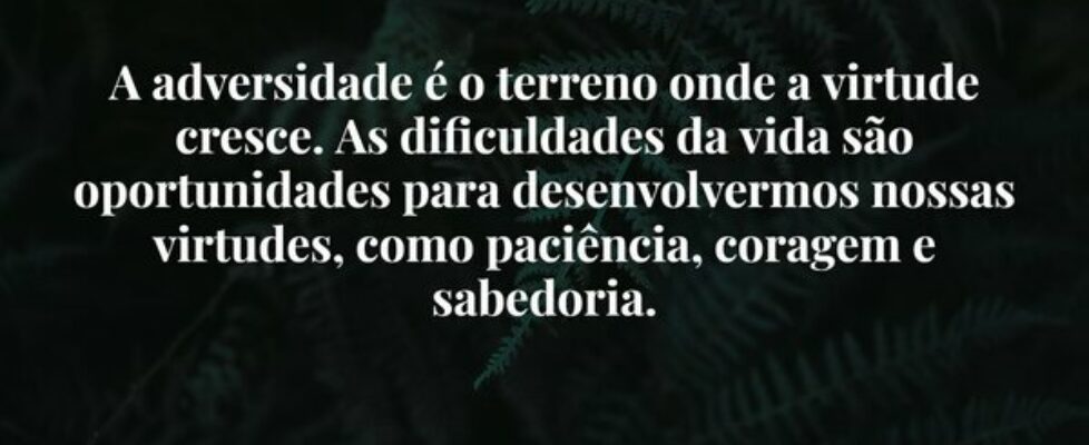 A adversidade é o terreno onde a virtude cresce. A... Damião Leão