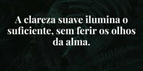 A clareza suave ilumina o suficiente, sem ferir os... Damião Leão
