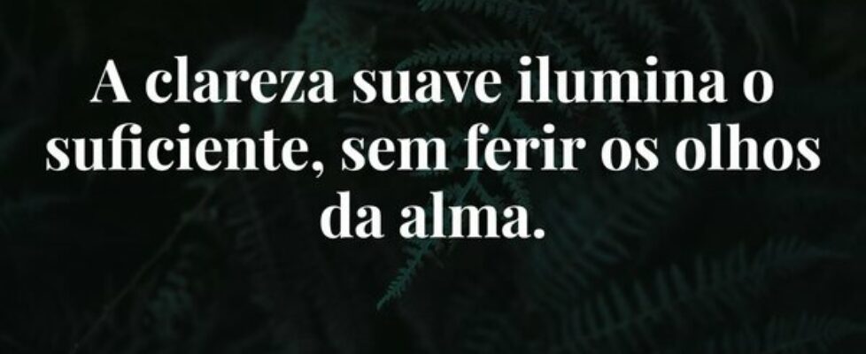 A clareza suave ilumina o suficiente, sem ferir os... Damião Leão