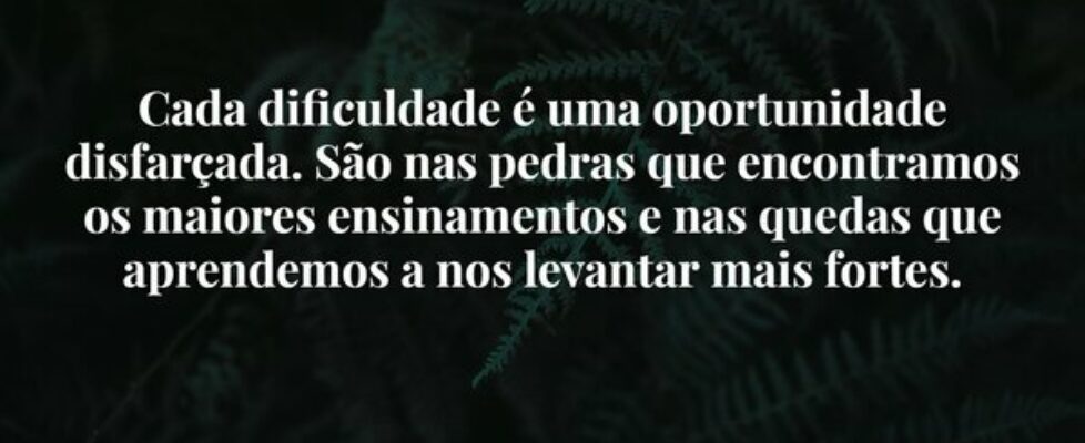 Cada dificuldade é uma oportunidade disfarçada. Sã... Damião Leão