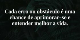 Cada erro ou obstáculo é uma chance de aprimorar-s... Damião Leão