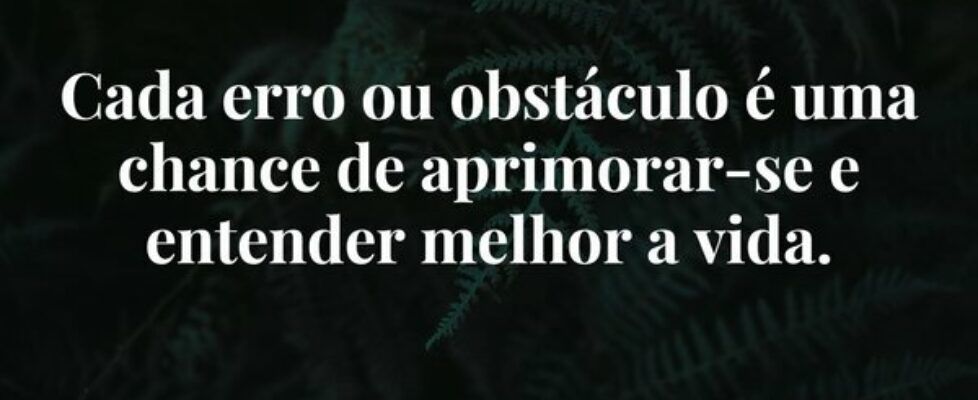 Cada erro ou obstáculo é uma chance de aprimorar-s... Damião Leão