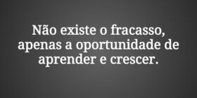 Não existe o fracasso, apenas a oportunidade de ap... Damião Leão