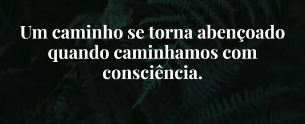 Um caminho se torna abençoado quando caminhamos co... Damião Leão