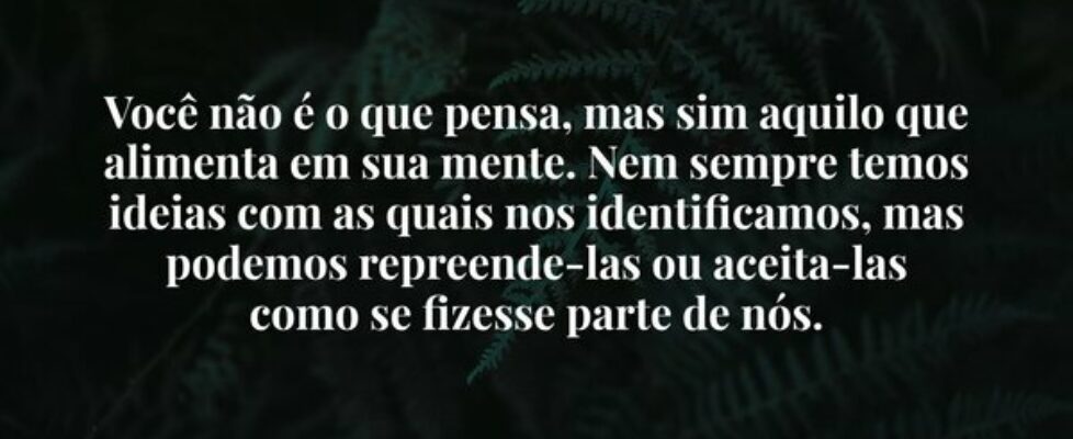 Você não é o que pensa, mas sim aquilo que aliment... Dayanne Raissa Dutra Pires