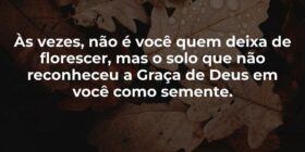 Às vezes, não é você quem deixa de florescer, mas ... Dilson Kutscher