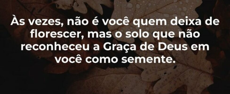 Às vezes, não é você quem deixa de florescer, mas ... Dilson Kutscher