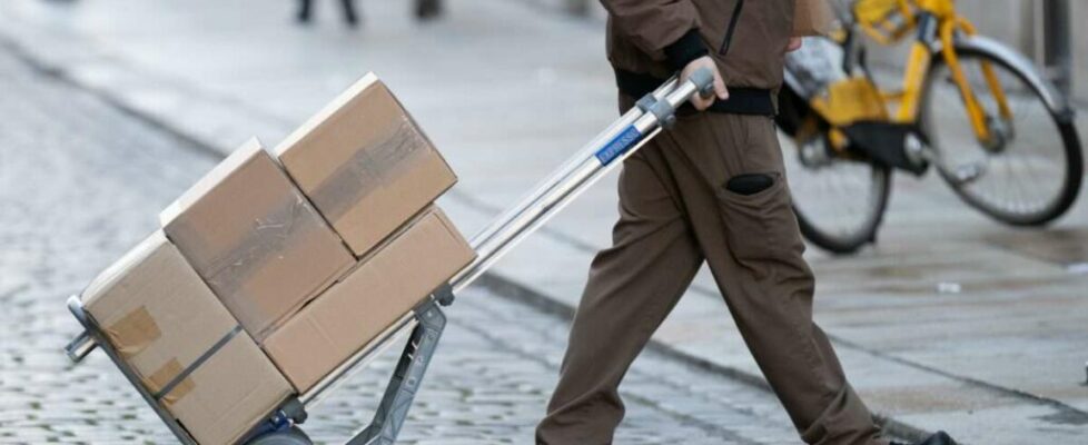 Brickbat: Hanging Judge