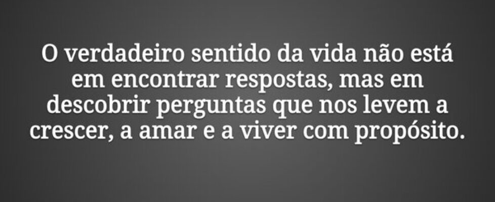 O verdadeiro sentido da vida não está em encontrar... Nanny13