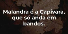 Malandra é a Capivara, que só anda em bandos.... Garfield789