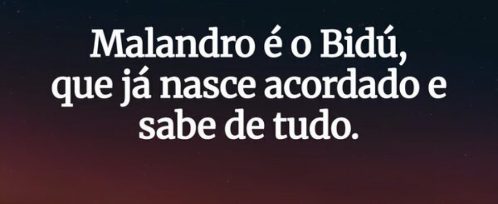 Malandro é o Bidú,  que já nasce acordado e sabe d... Garfield789