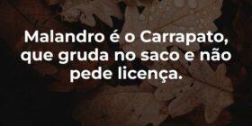 Malandro é o Carrapato, que gruda no saco e não pe... Garfield789