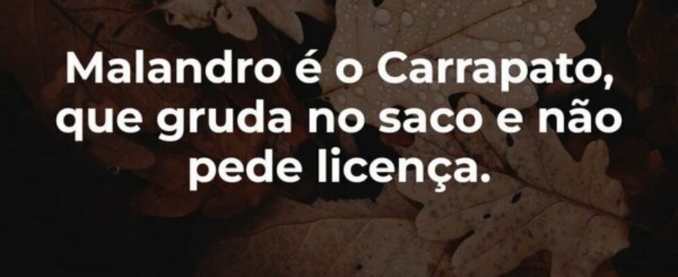 Malandro é o Carrapato, que gruda no saco e não pe... Garfield789