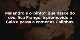 Malandro é o "pinto", que nasce do ovo, ... Garfield789