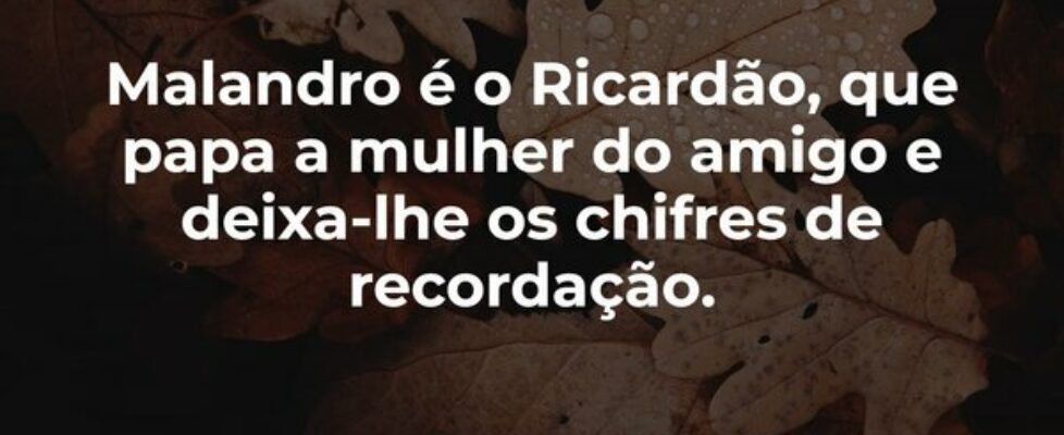 Malandro é o Ricardão, que papa a mulher do amigo ... Garfield789