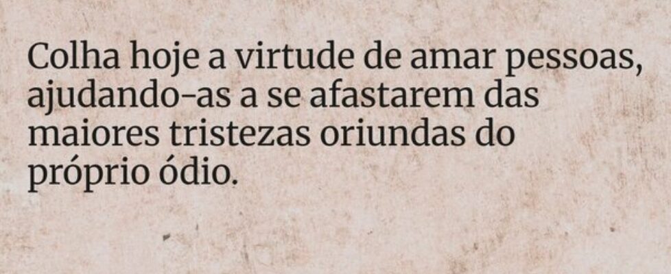Colha hoje a virtude de amar pessoas, ajudando-as ... HelgirGirodo