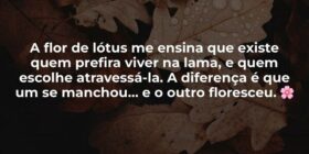 A flor de lótus me ensina que existe quem prefira ... Jefferson Alves Sodré