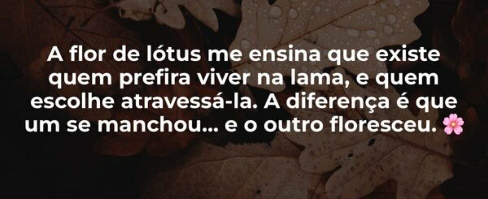A flor de lótus me ensina que existe quem prefira ... Jefferson Alves Sodré