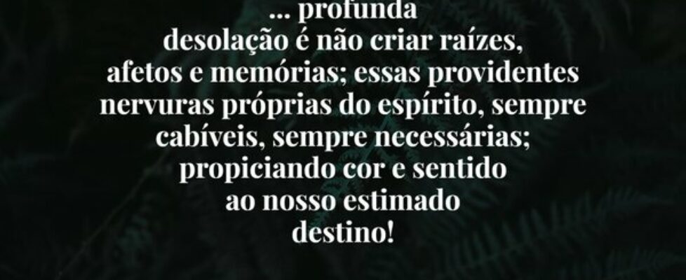 ... profunda desolação é não criar raízes, afetos ... José Mauro Toledo