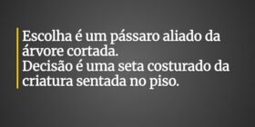 Escolha é um pássaro aliado da árvore cortada. ⁠De... kielyam_principe