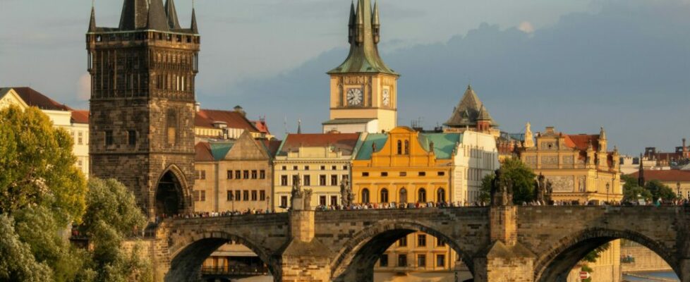 Fine-Tuning a BERT Model