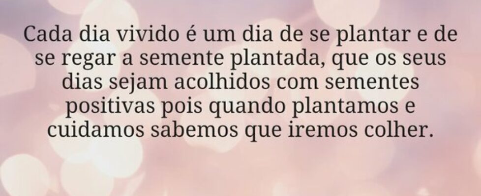 Cada dia vivido é um dia de se plantar e de se reg... mickaely nascimento