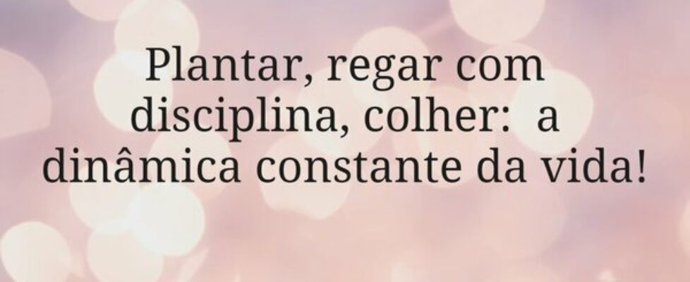 Plantar, regar com disciplina, colher:  a dinâmica... Nana Bernardes