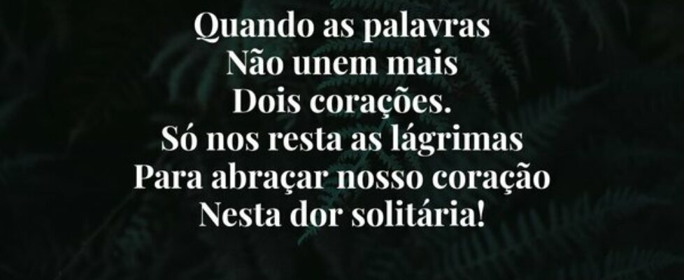 Quando as palavras Não unem mais  Dois corações. S... Nelson Martins Poeta