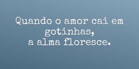 Quando o amor cai em gotinhas, a alma floresce.... Rosana Figueira