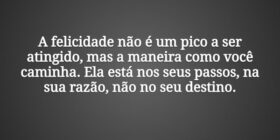 A felicidade não é um pico a ser atingido, mas a m... Tiago Scheimann