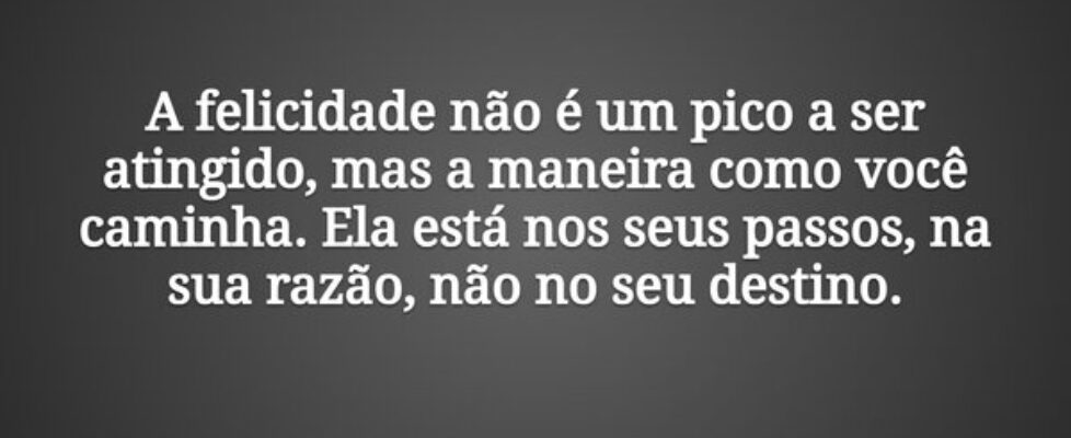 A felicidade não é um pico a ser atingido, mas a m... Tiago Scheimann