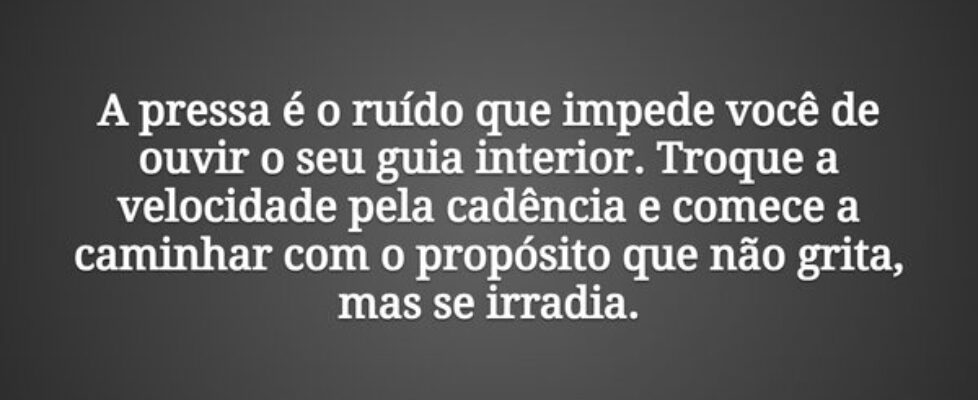 A pressa é o ruído que impede você de ouvir o seu ... Tiago Scheimann