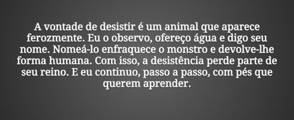 A vontade de desistir é um animal que aparece fero... Tiago Scheimann
