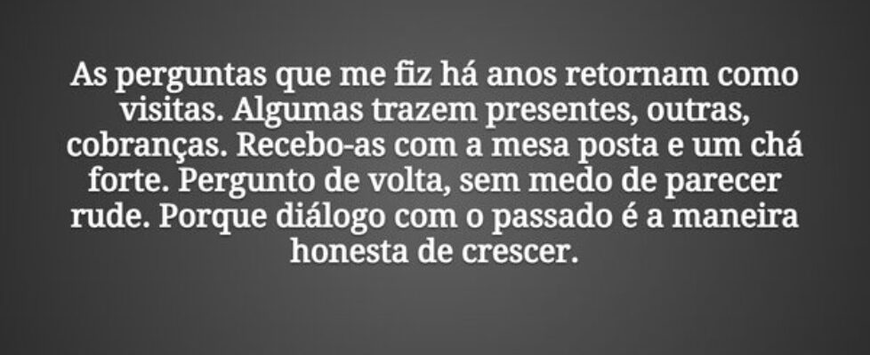 As perguntas que me fiz há anos retornam como visi... Tiago Scheimann