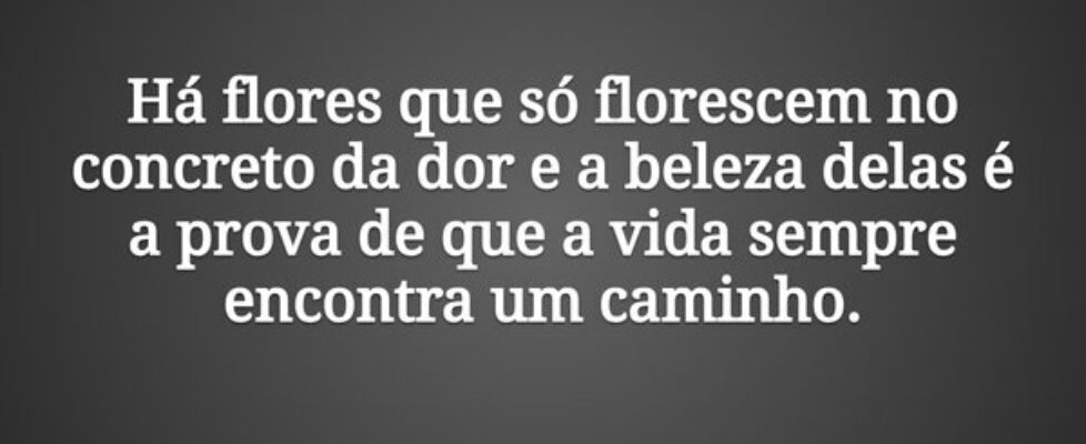 Há flores que só florescem no concreto da dor e a ... Tiago Scheimann