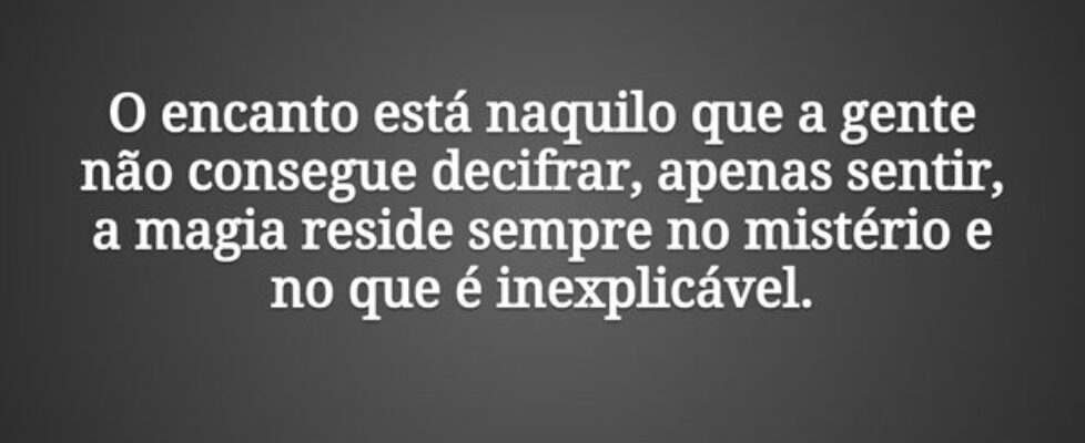 O encanto está naquilo que a gente não consegue de... Tiago Scheimann